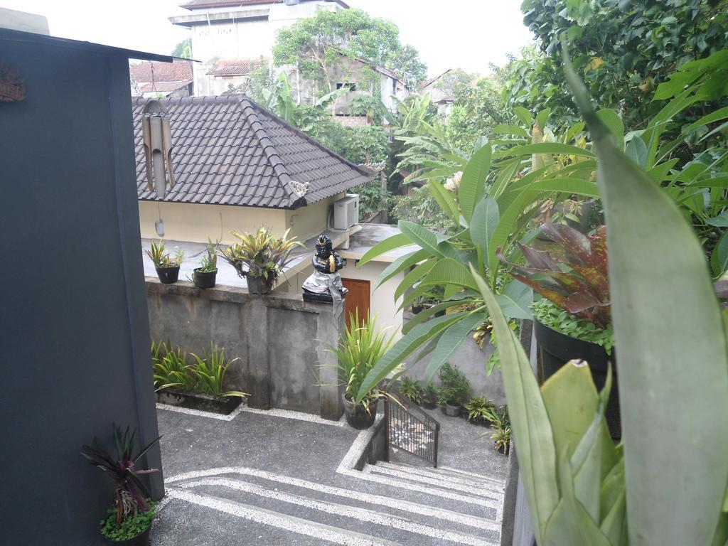 Sintya Homestay أوبود المظهر الخارجي الصورة