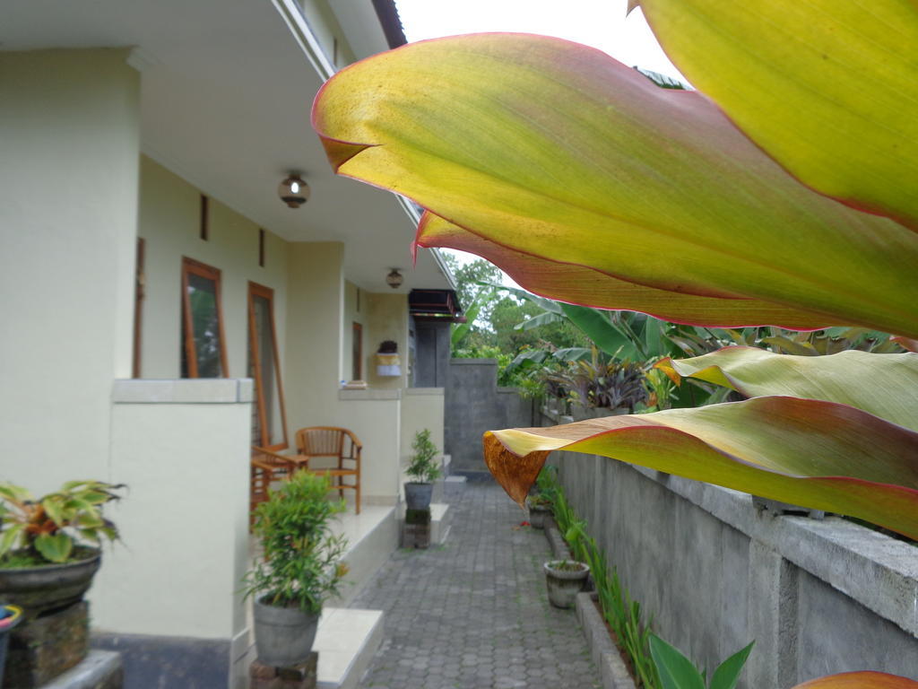 Sintya Homestay أوبود المظهر الخارجي الصورة