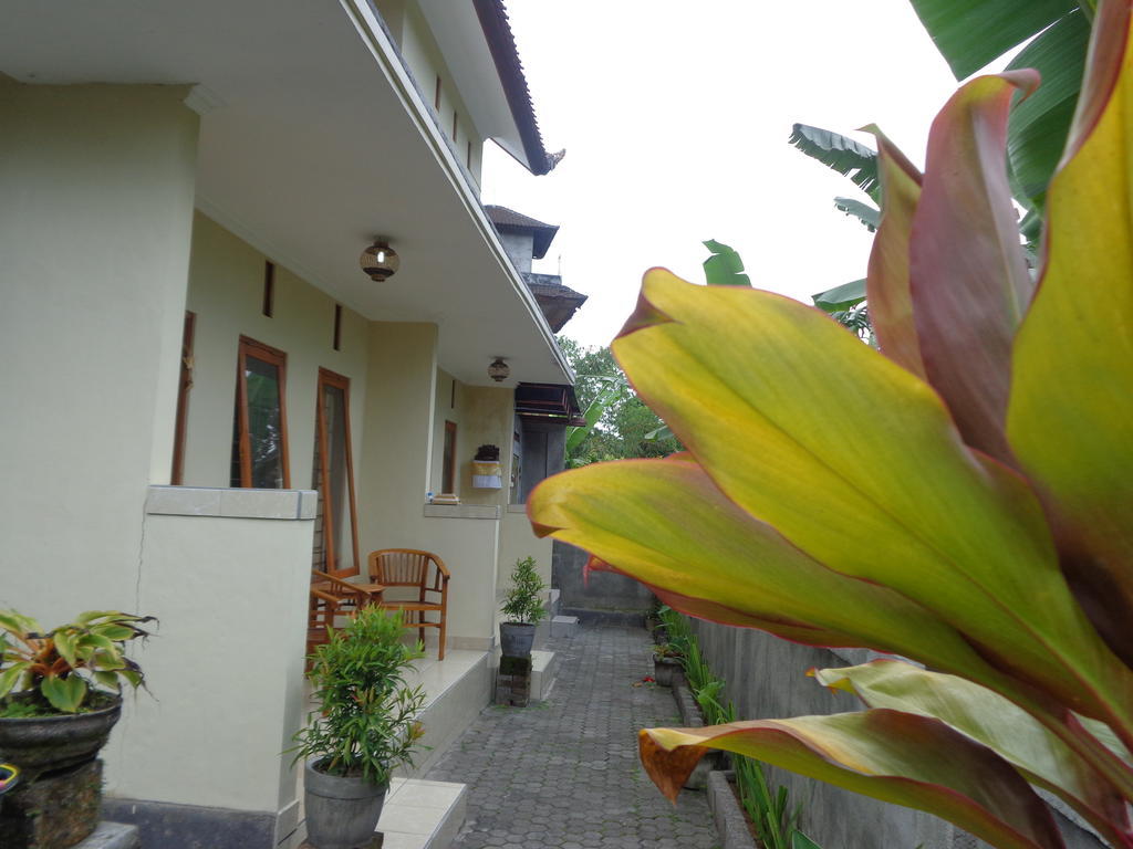 Sintya Homestay أوبود المظهر الخارجي الصورة
